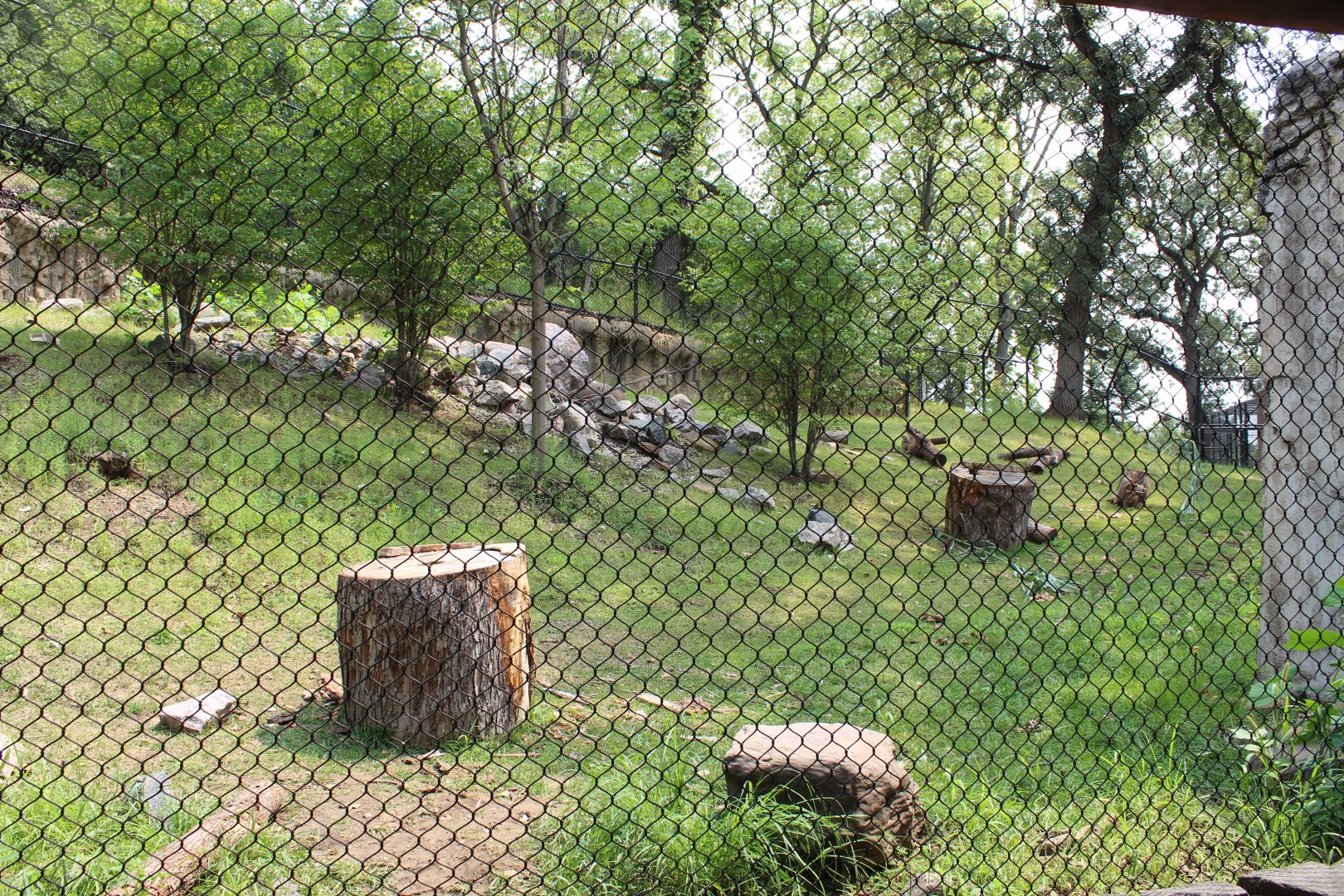 Sloth Bear Exhibit - Asian Highlands