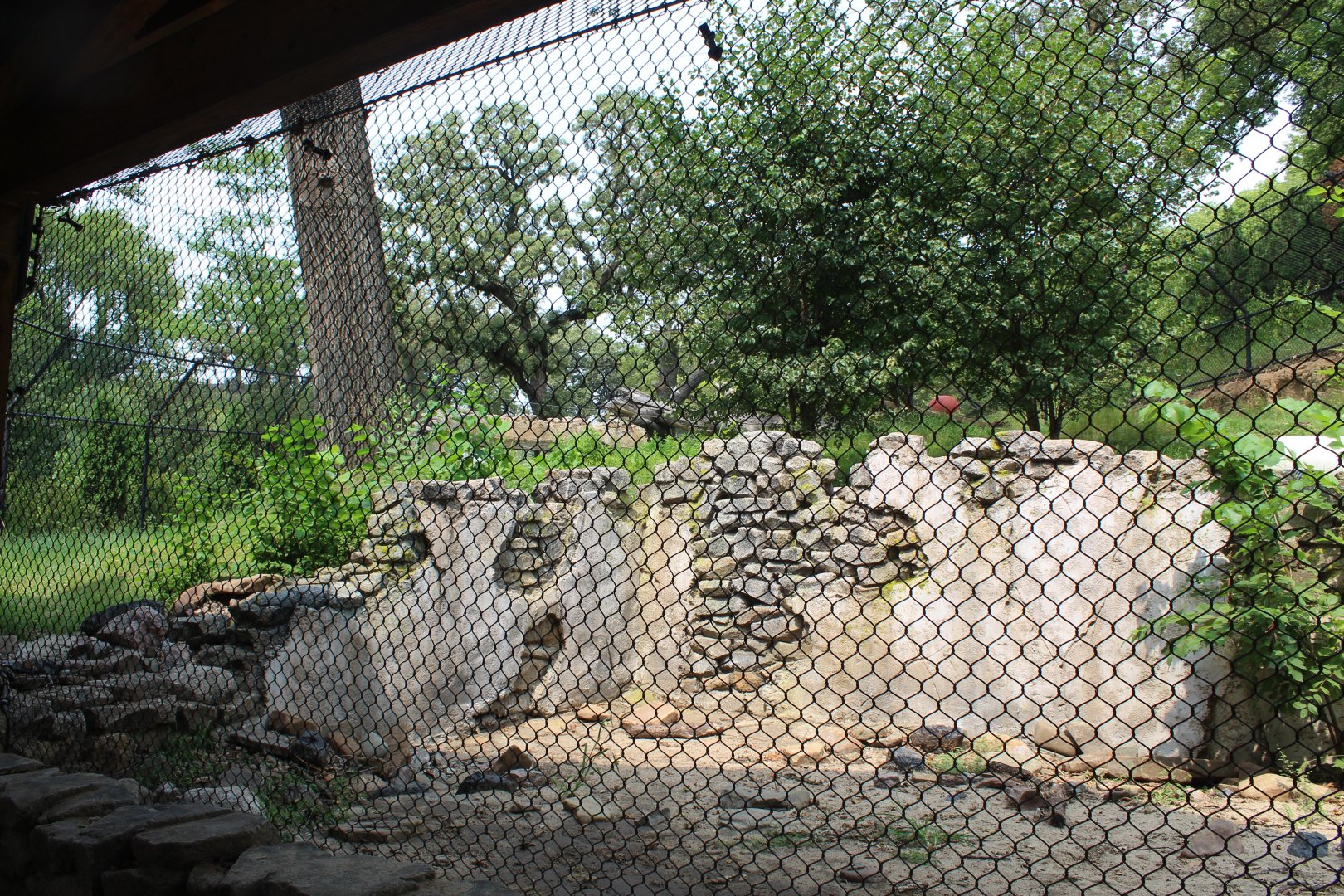 Sloth Bear Exhibit - Asian Highlands