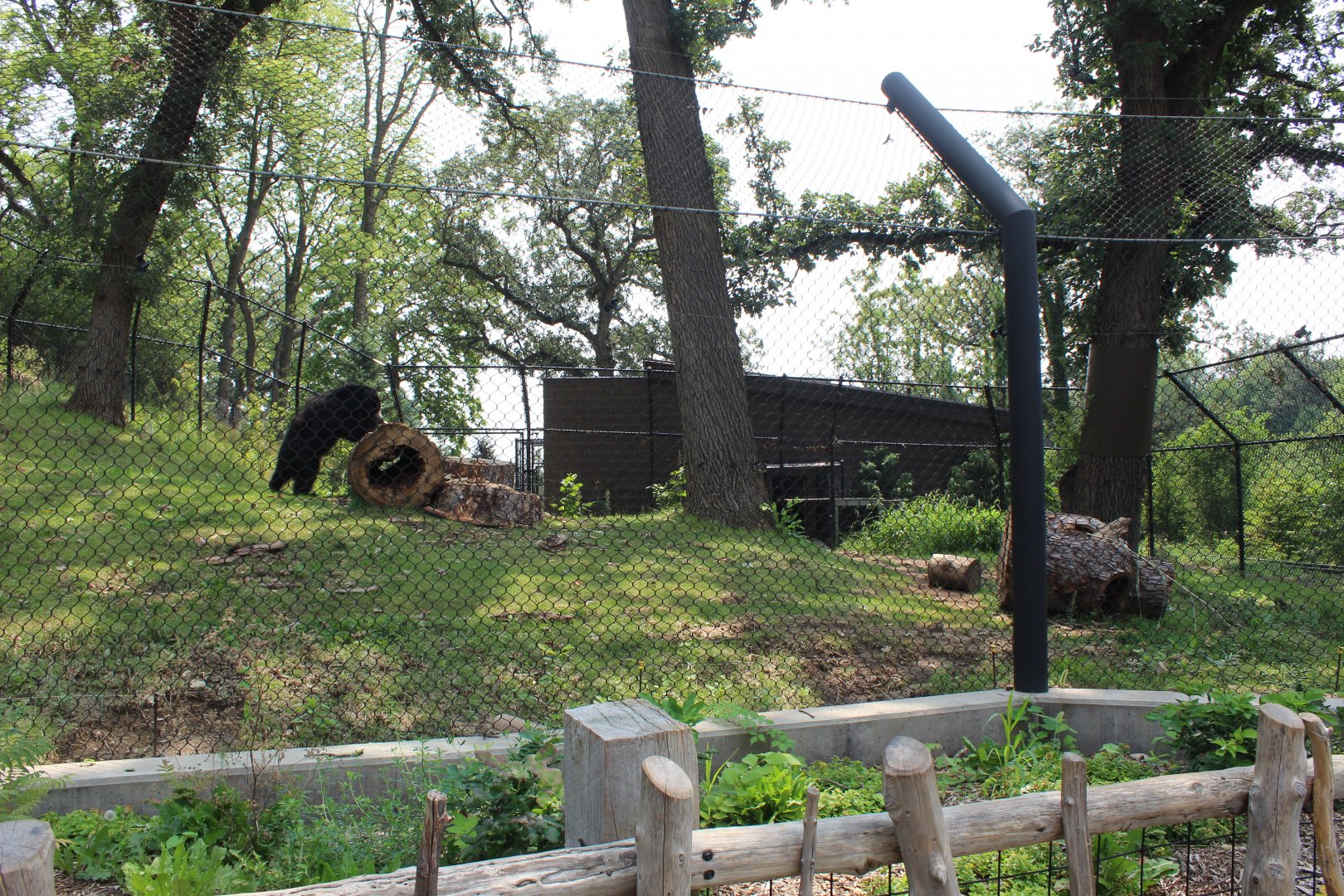 Sloth Bear Exhibit - Asian Highlands