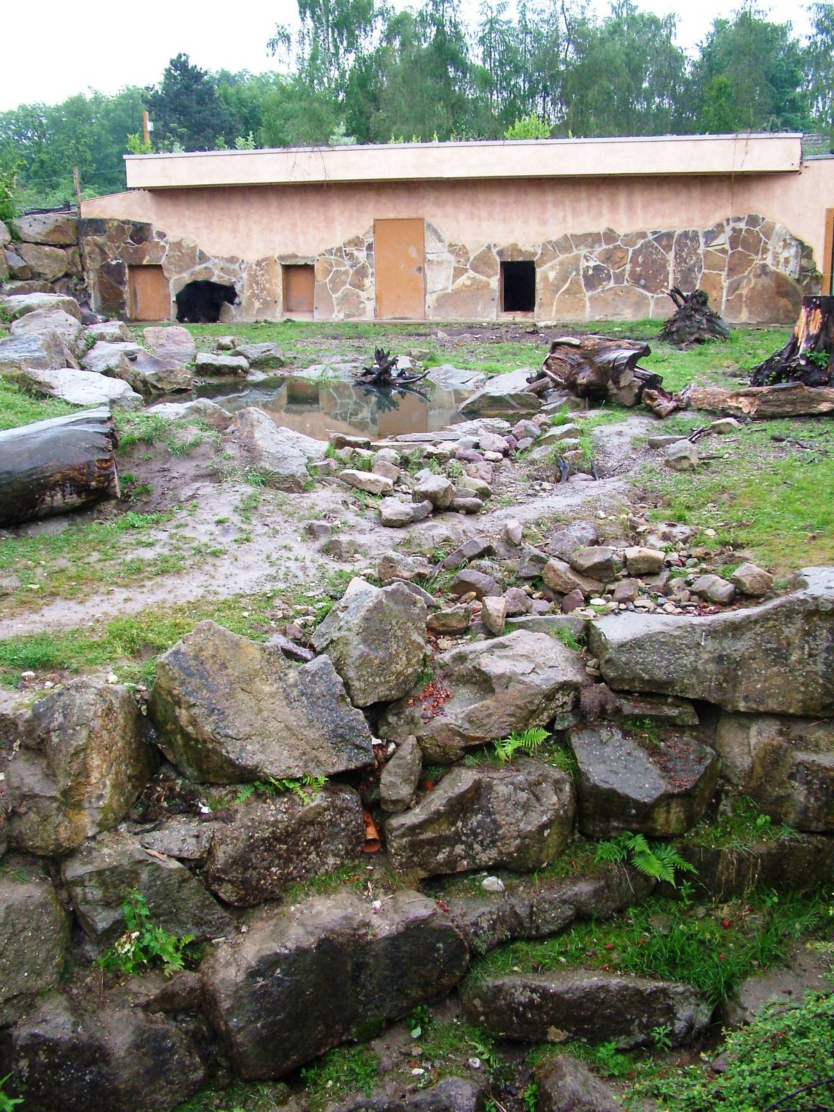 Sloth Bear Exhibit at Rheine, 03/06/12