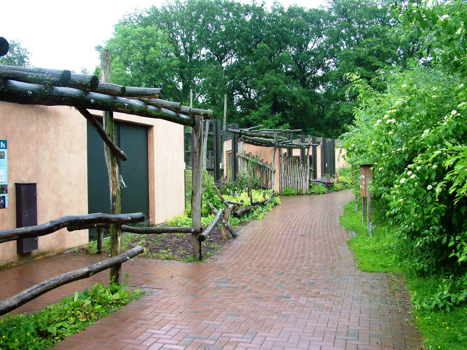 Sloth Bear Exhibit at Rheine, 03/06/12