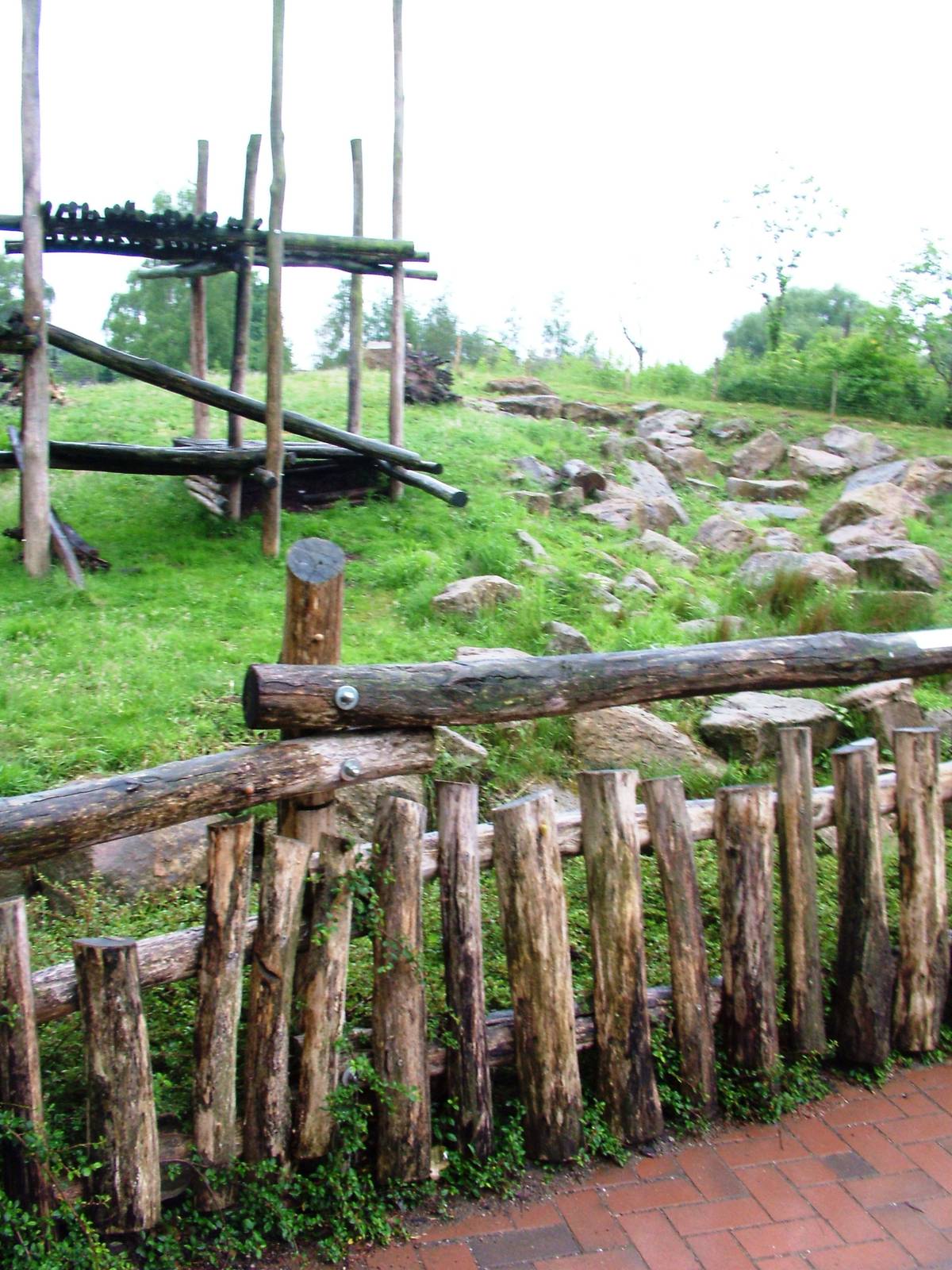 Sloth Bear Exhibit at Rheine, 03/06/12