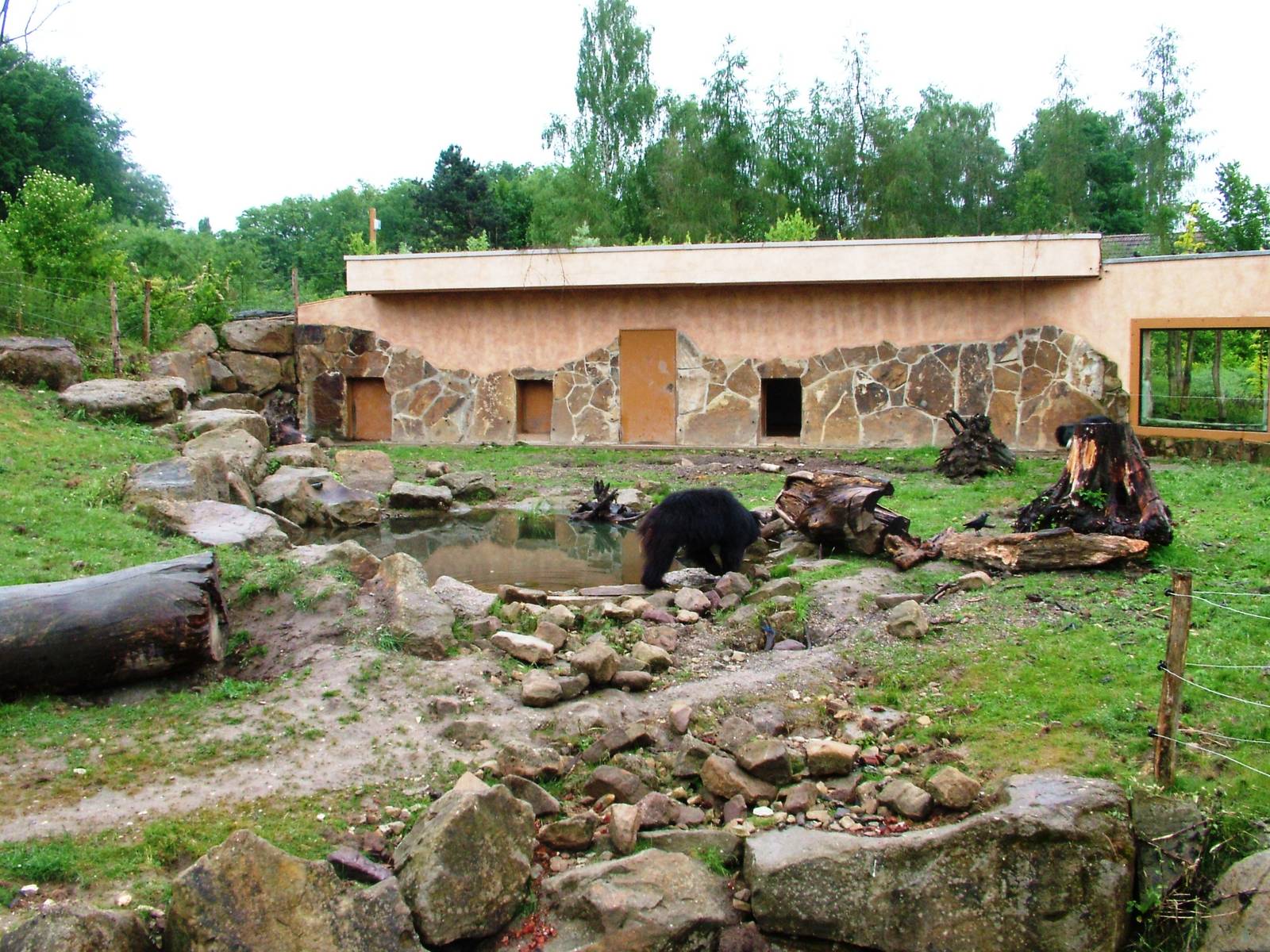 Sloth Bear Exhibit at Rheine, 03/06/12