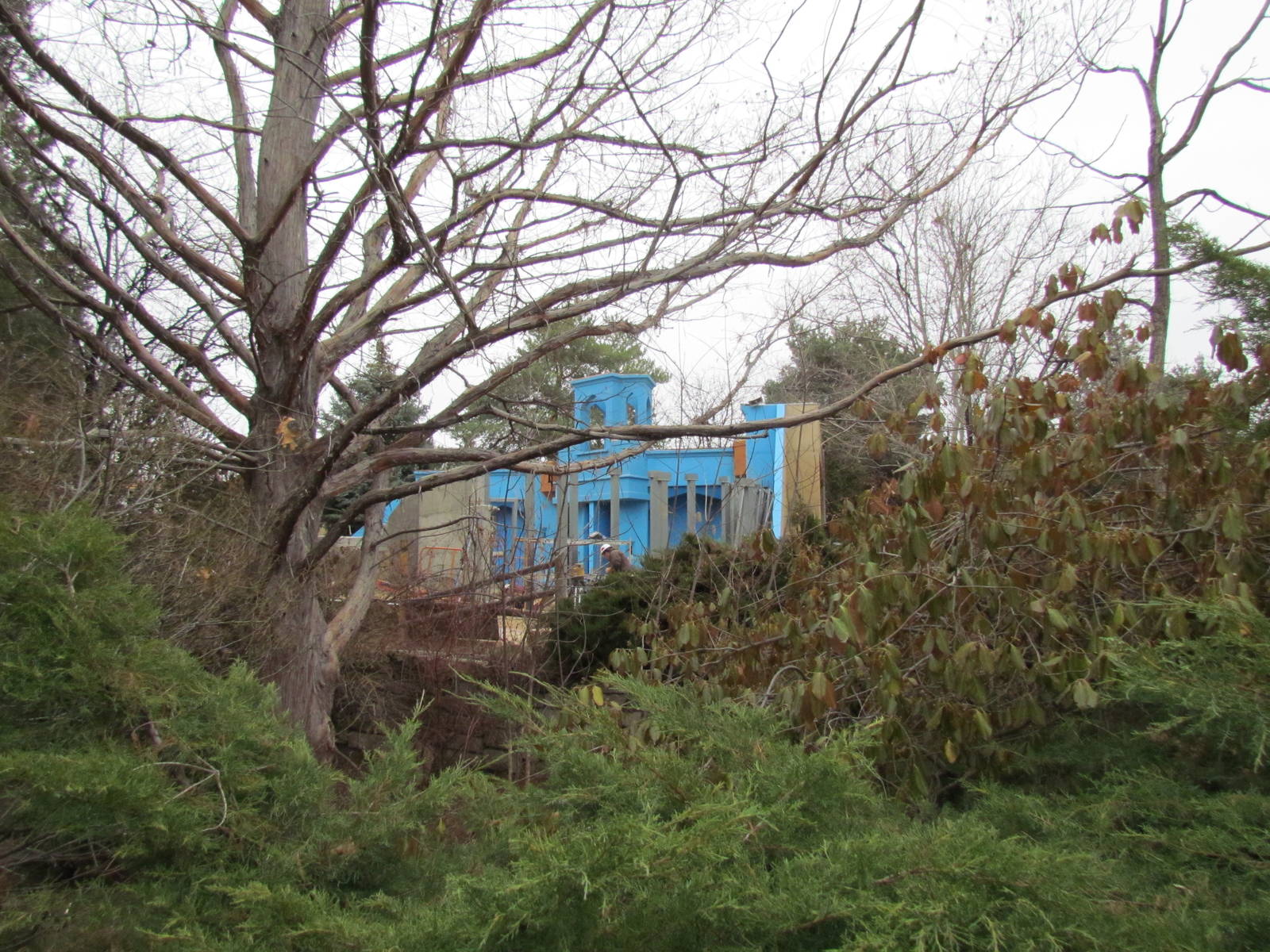 Sloth Bear Exhibit Construction
