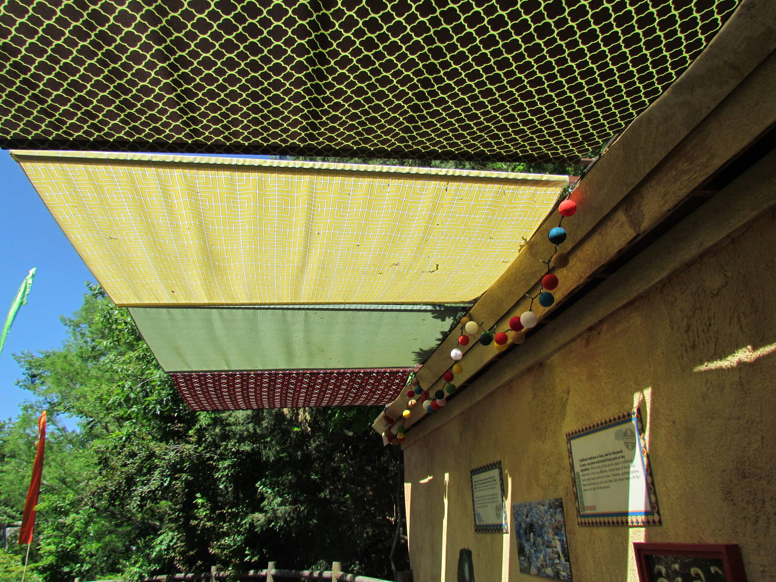 Sloth Bear Exhibit Graphics