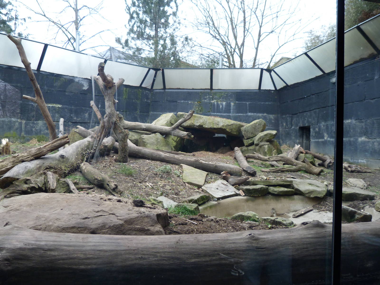 Sloth Bear Exhibit - January 2014