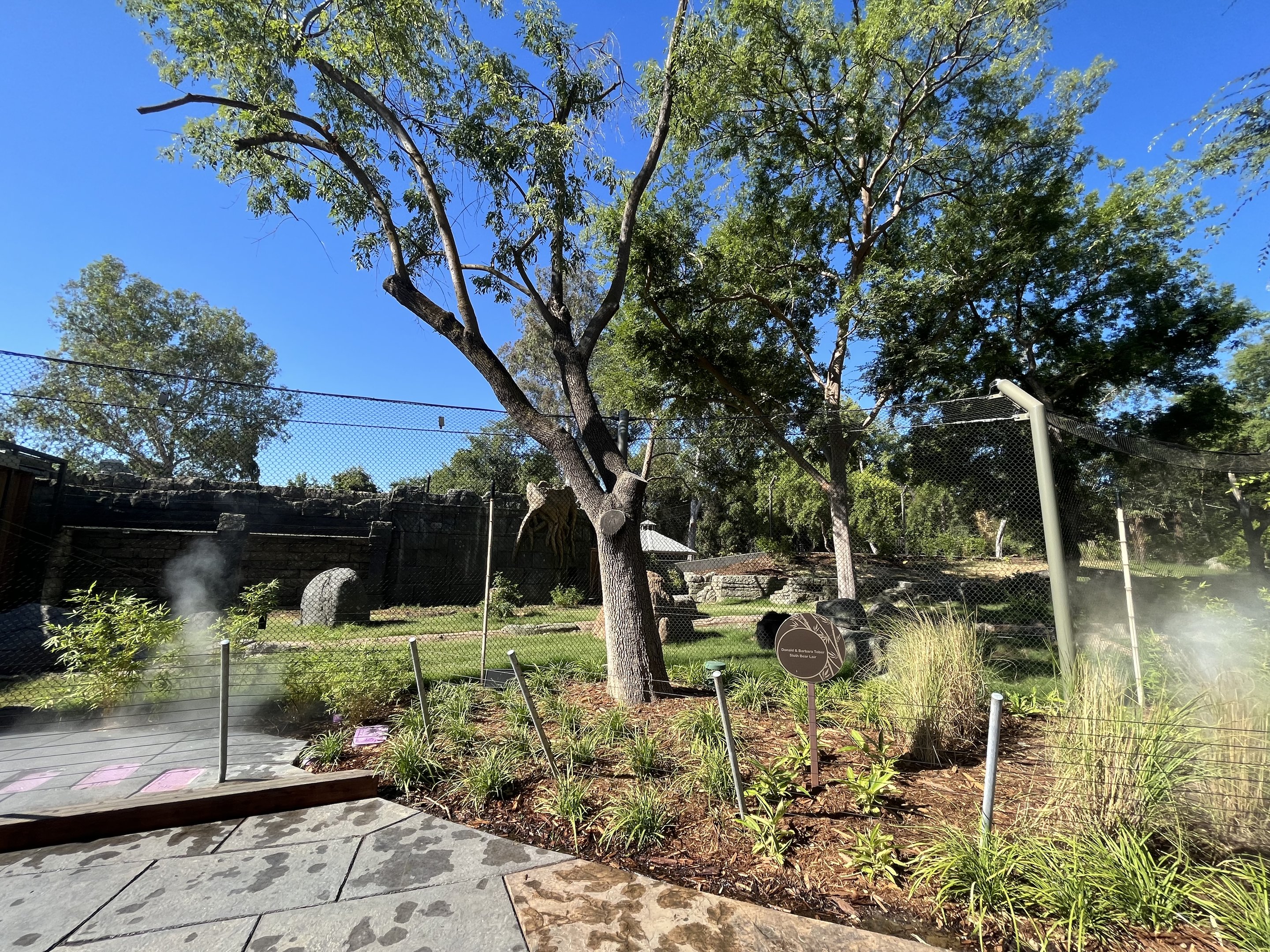 Sloth Bear Exhibit - New in 2023