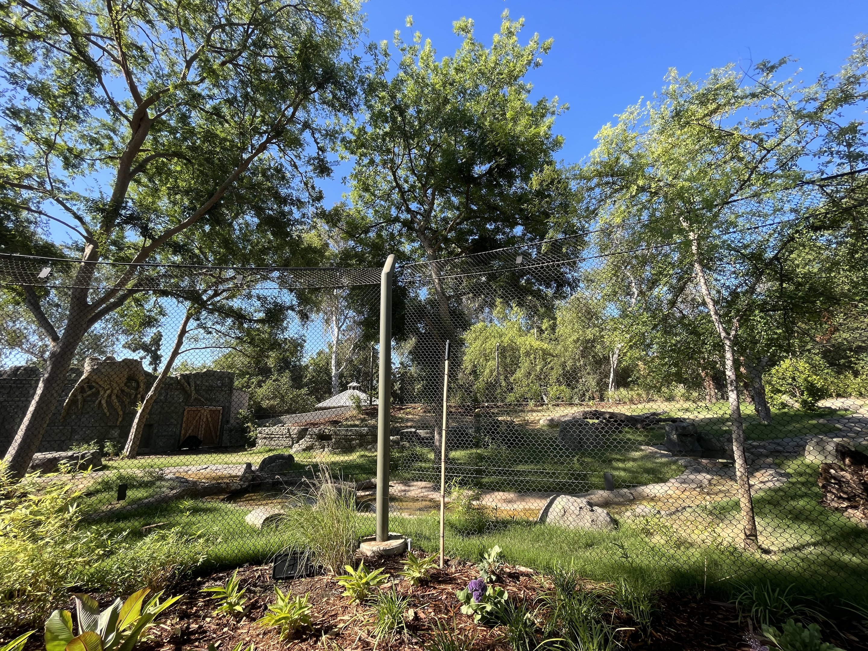 Sloth Bear Exhibit - New in 2023