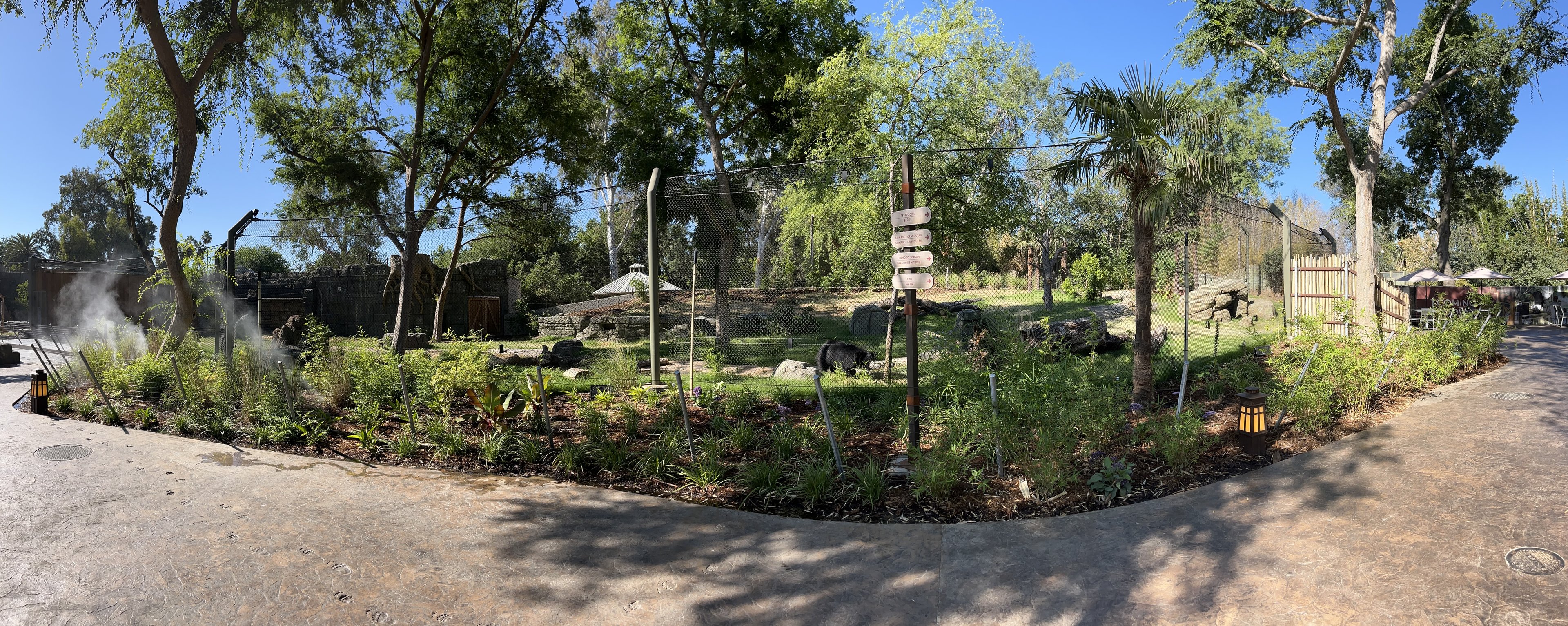 Sloth Bear Exhibit - New in 2023