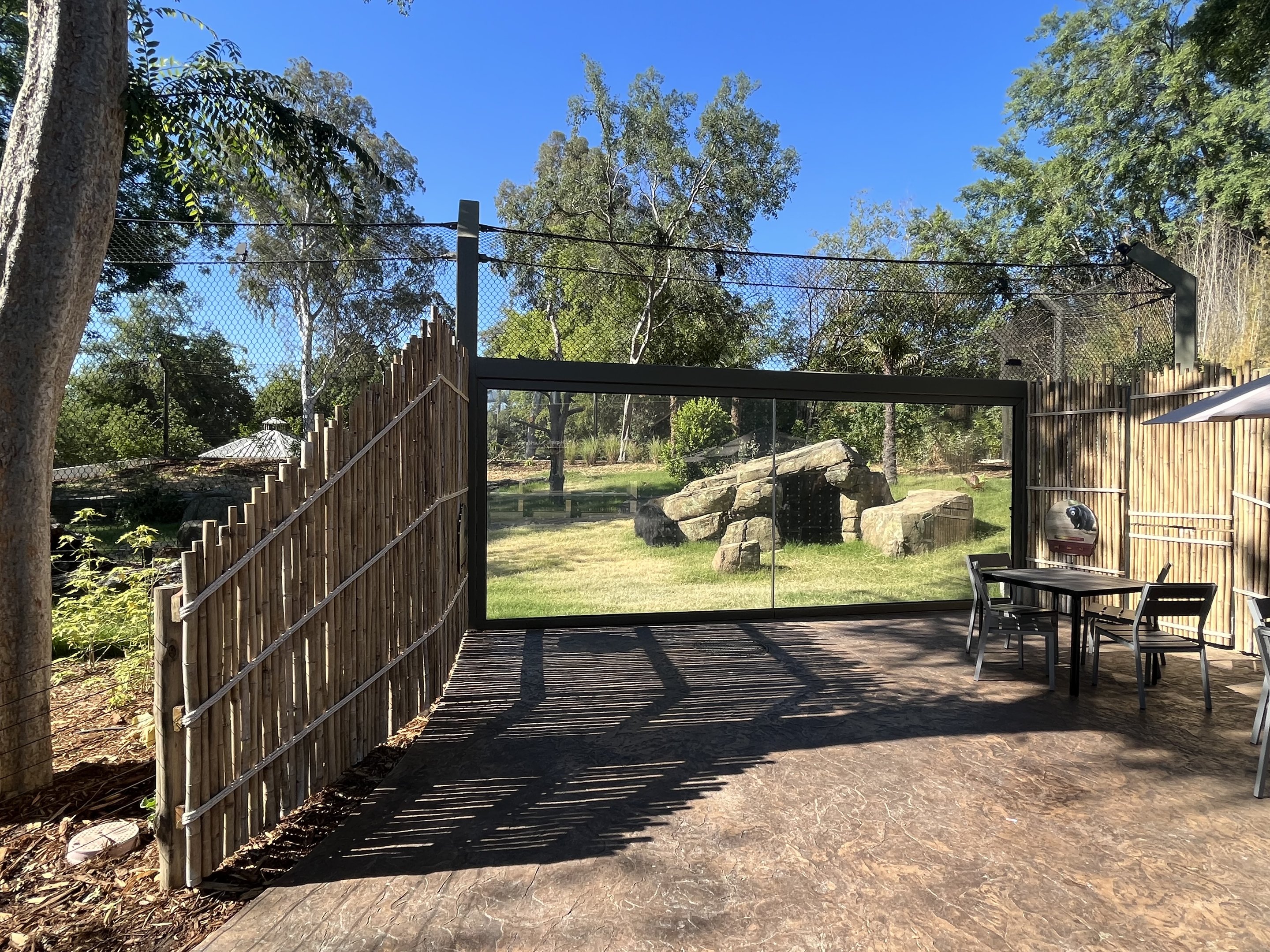 Sloth Bear Exhibit - New in 2023