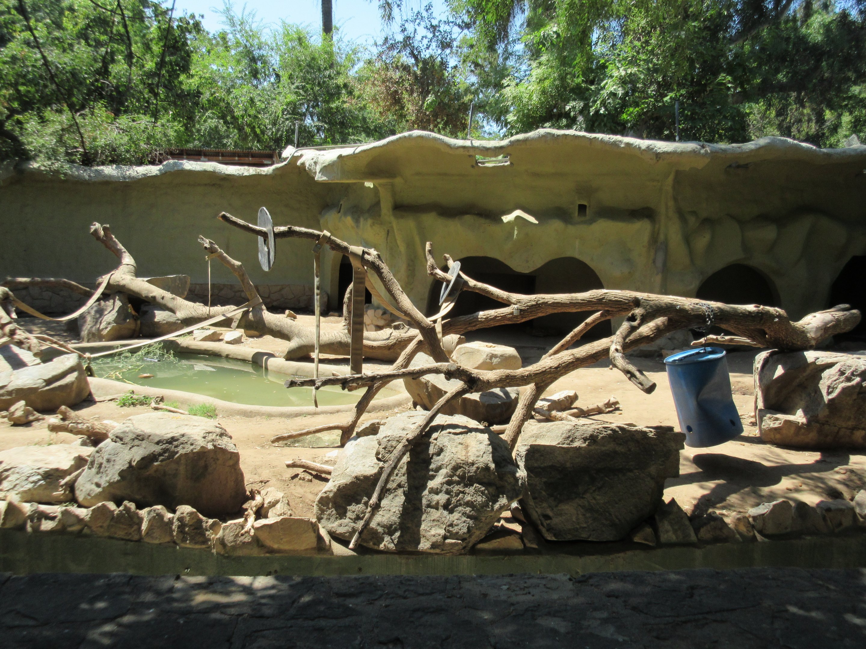 Sloth Bear Exhibit (to be demolished in the next couple of years)
