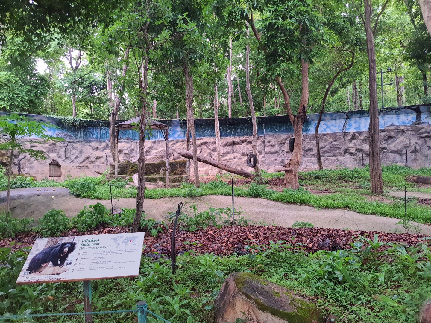 Sloth Bear exhibit with signage
