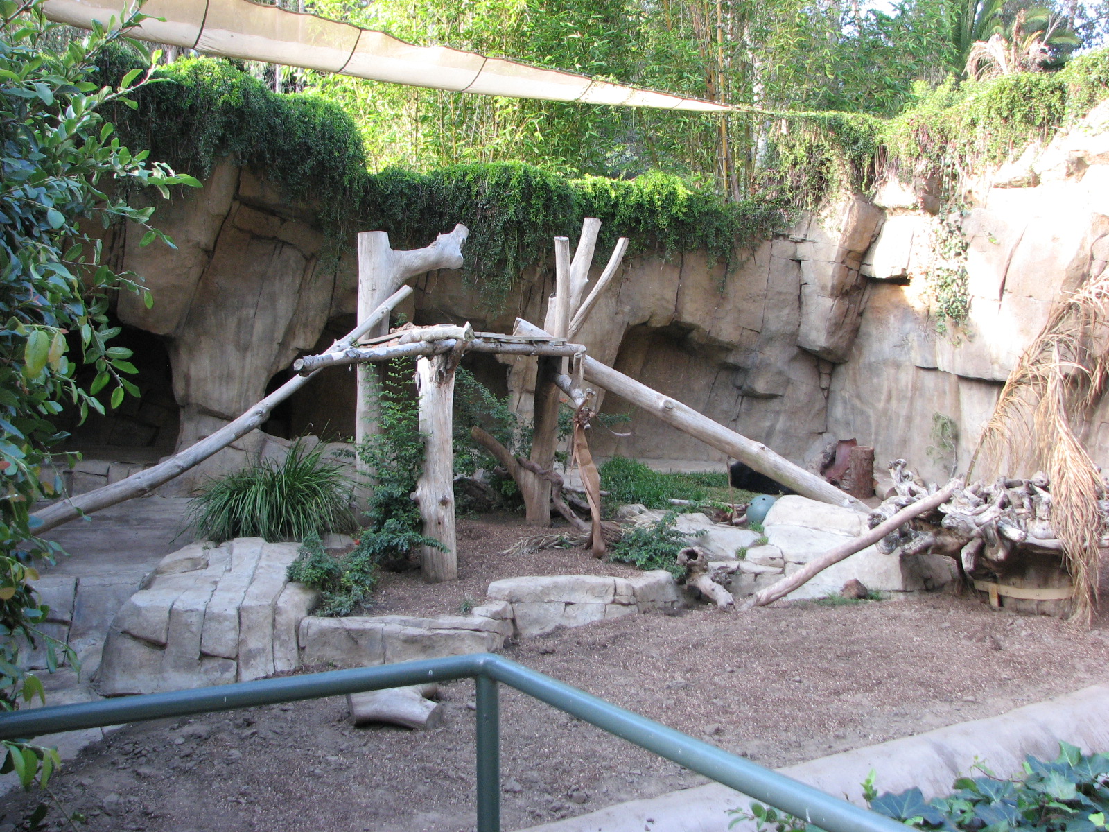 Sloth Bear Exhibit
