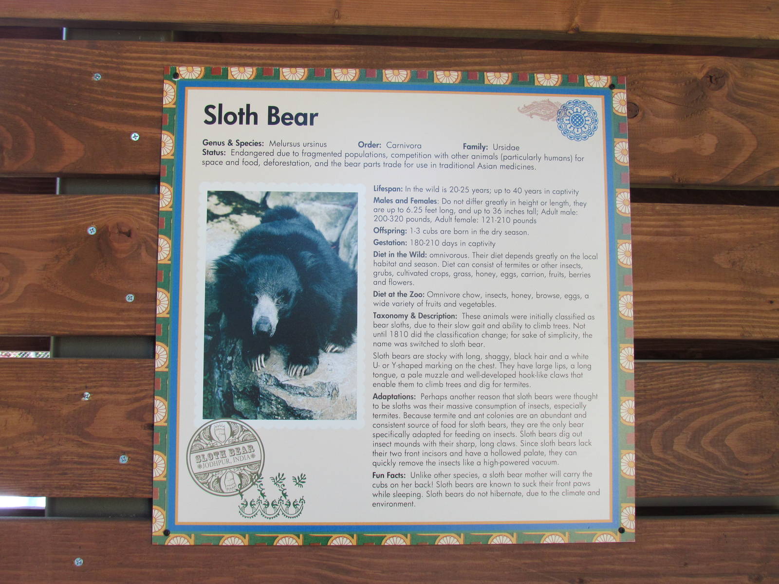 Sloth Bear Exhibit