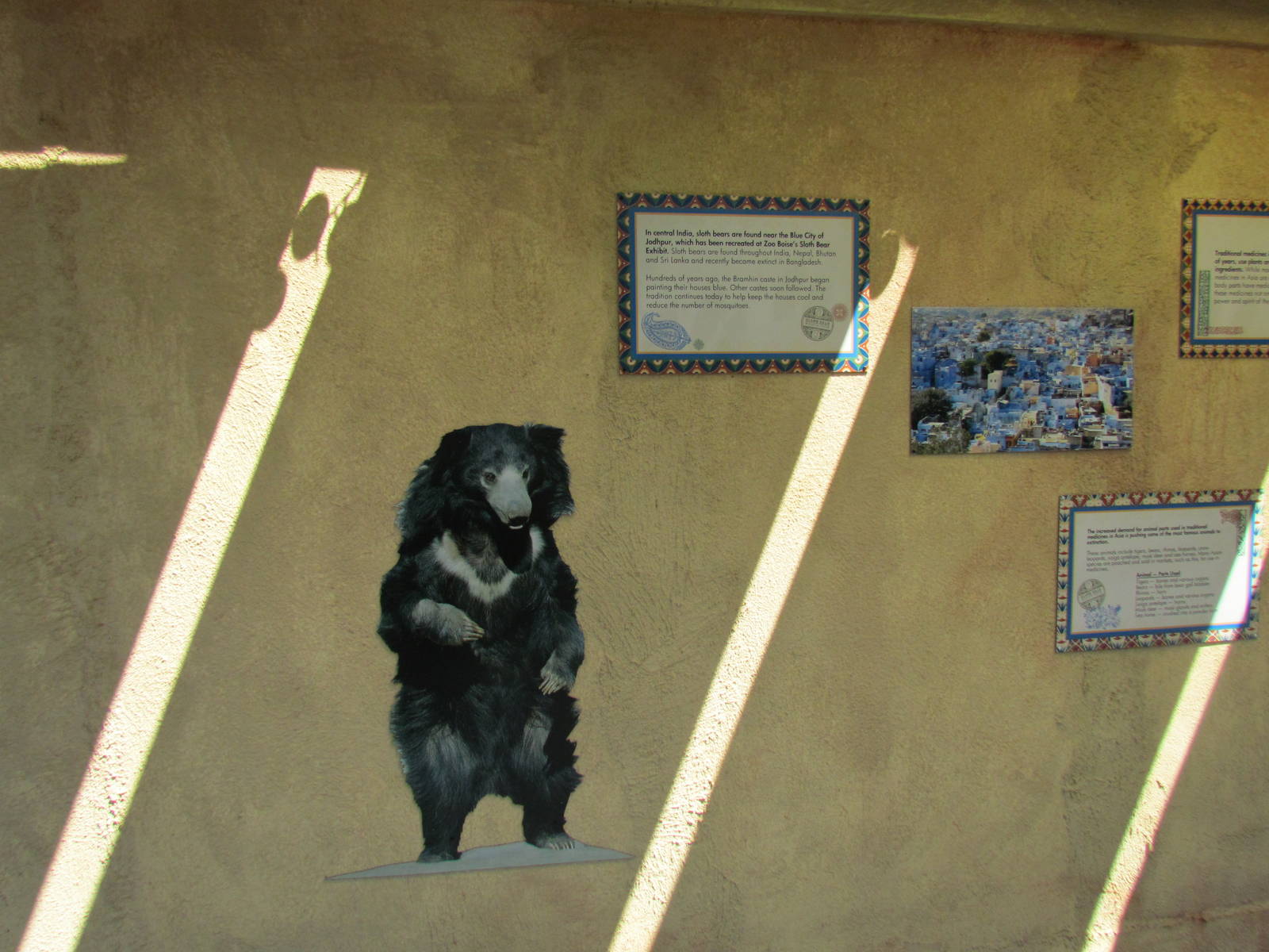 Sloth Bear Exhibit