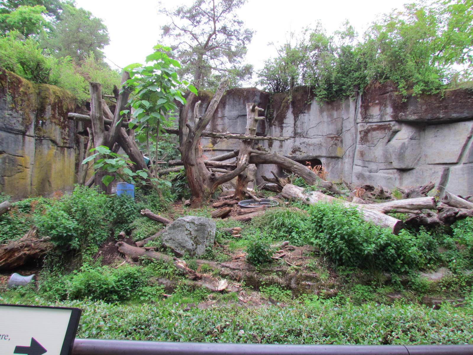 Sloth Bear Exhibit