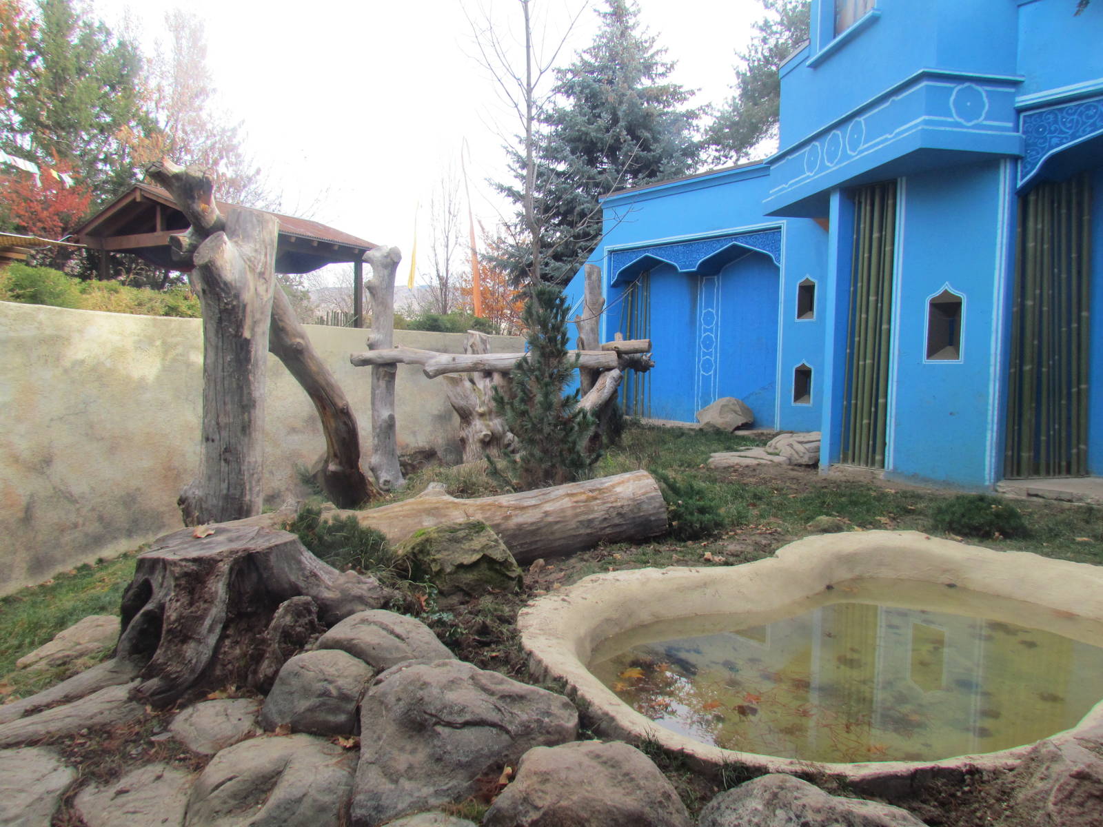 Sloth Bear Exhibit