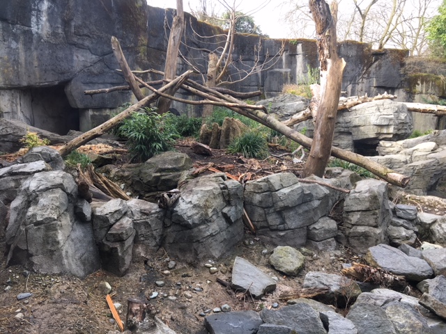 Sloth Bear Exhibit