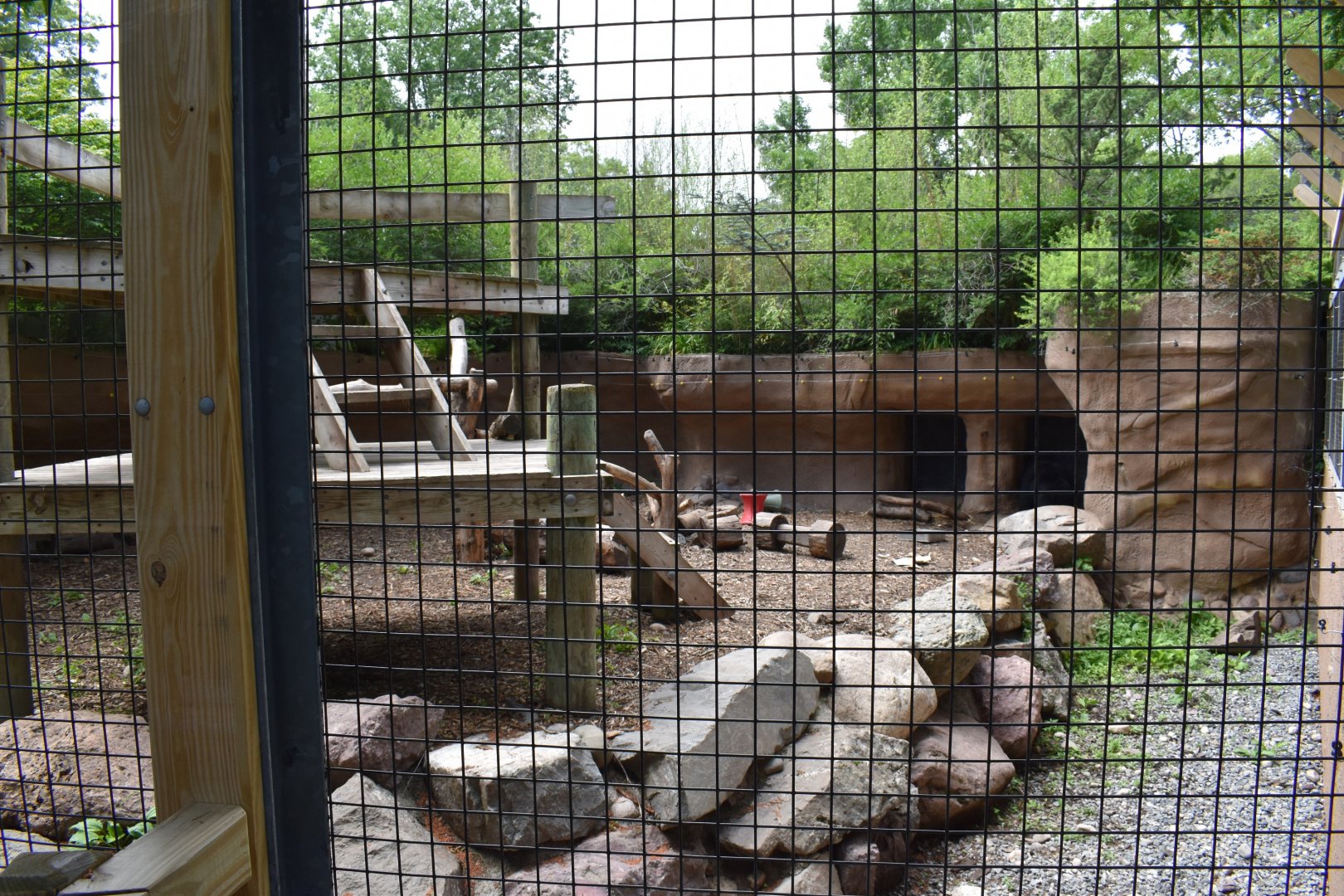 Sloth Bear Exhibit