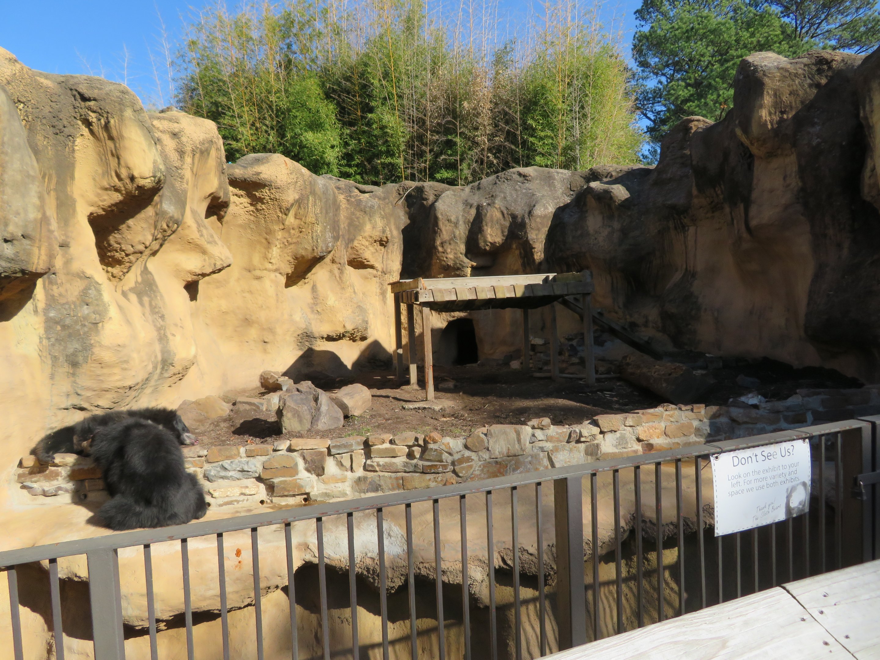 Sloth Bear Exhibit