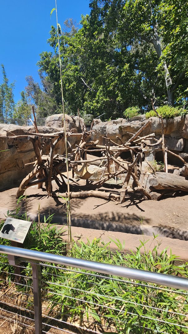 Sloth Bear Exhibit
