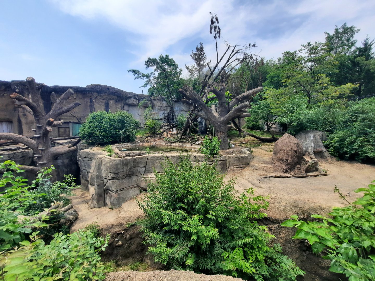 Sloth Bear Exhibit