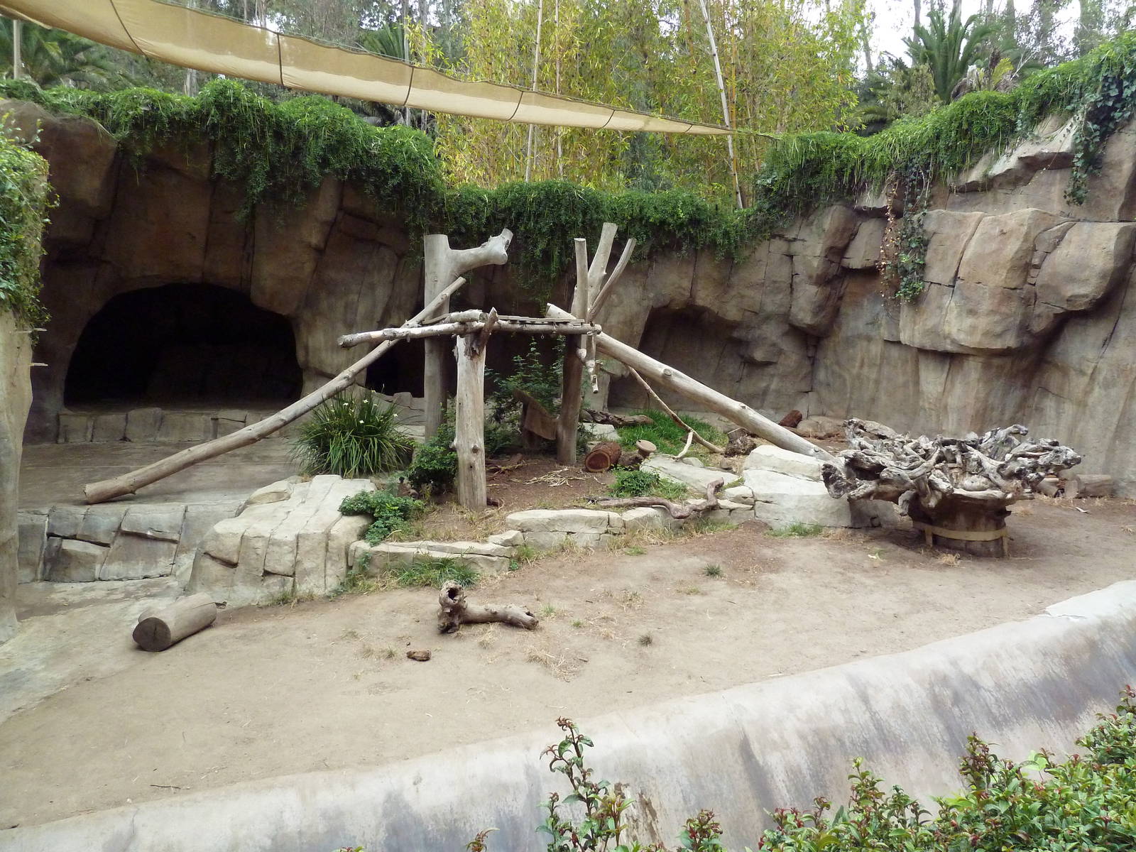 Sloth Bear Grotto