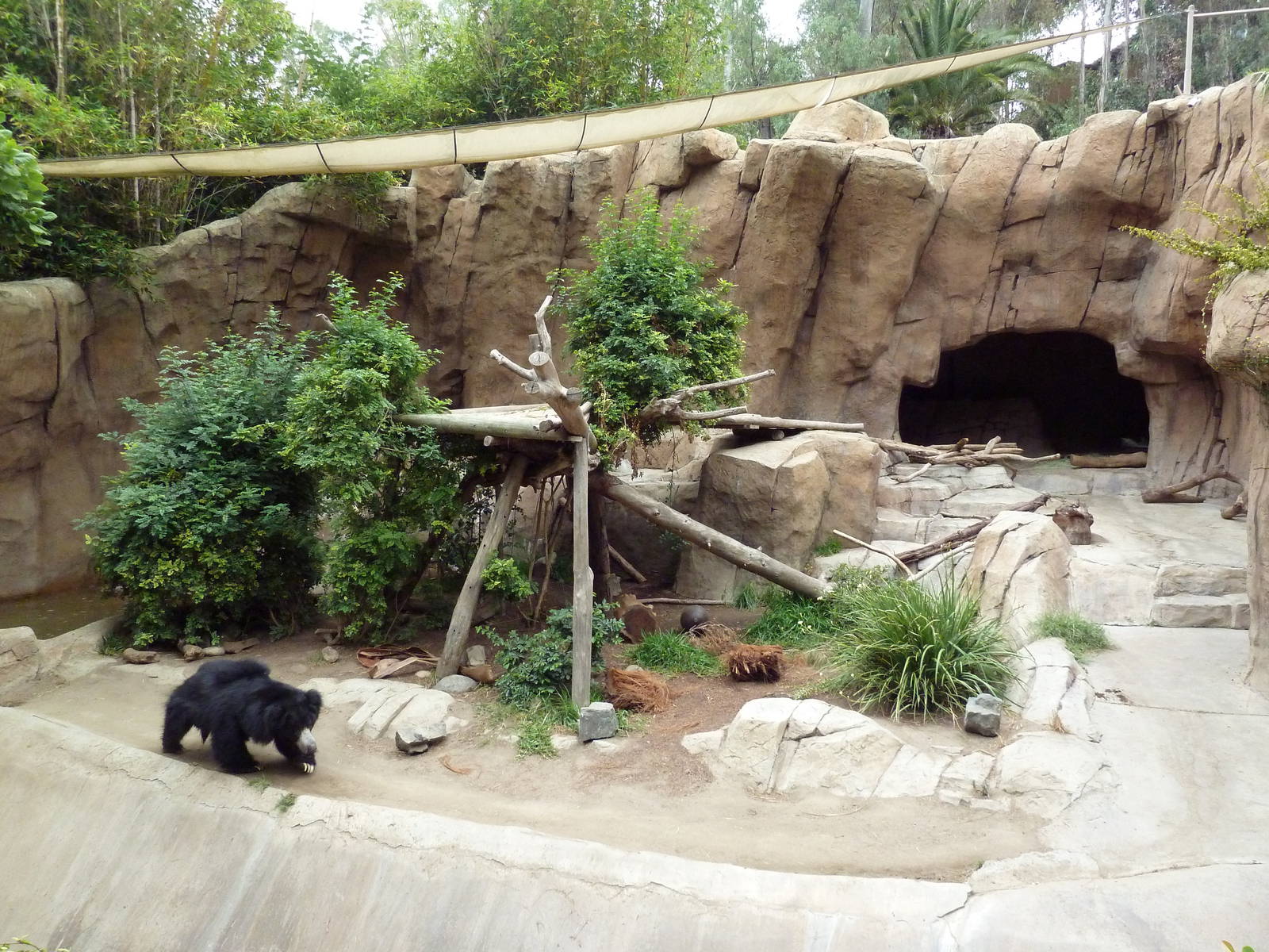 Sloth Bear Grotto