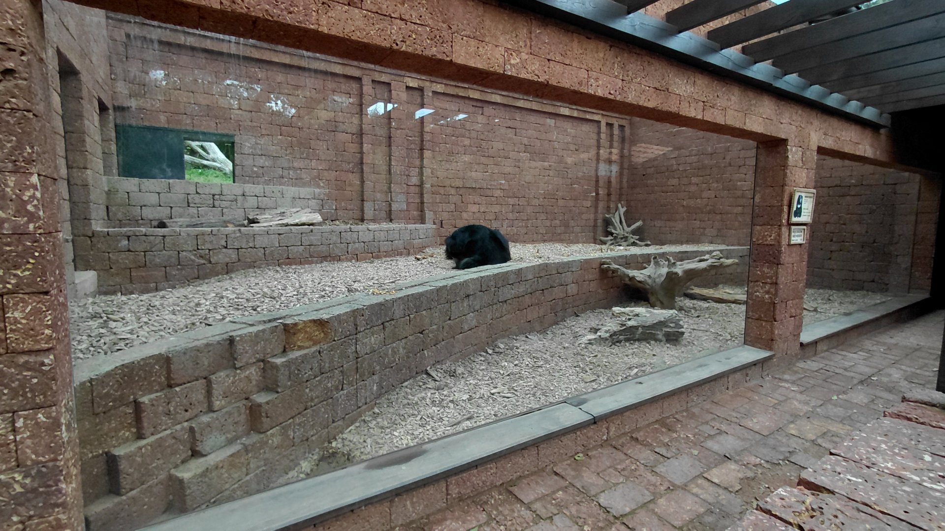 Sloth bear indoor exhibit