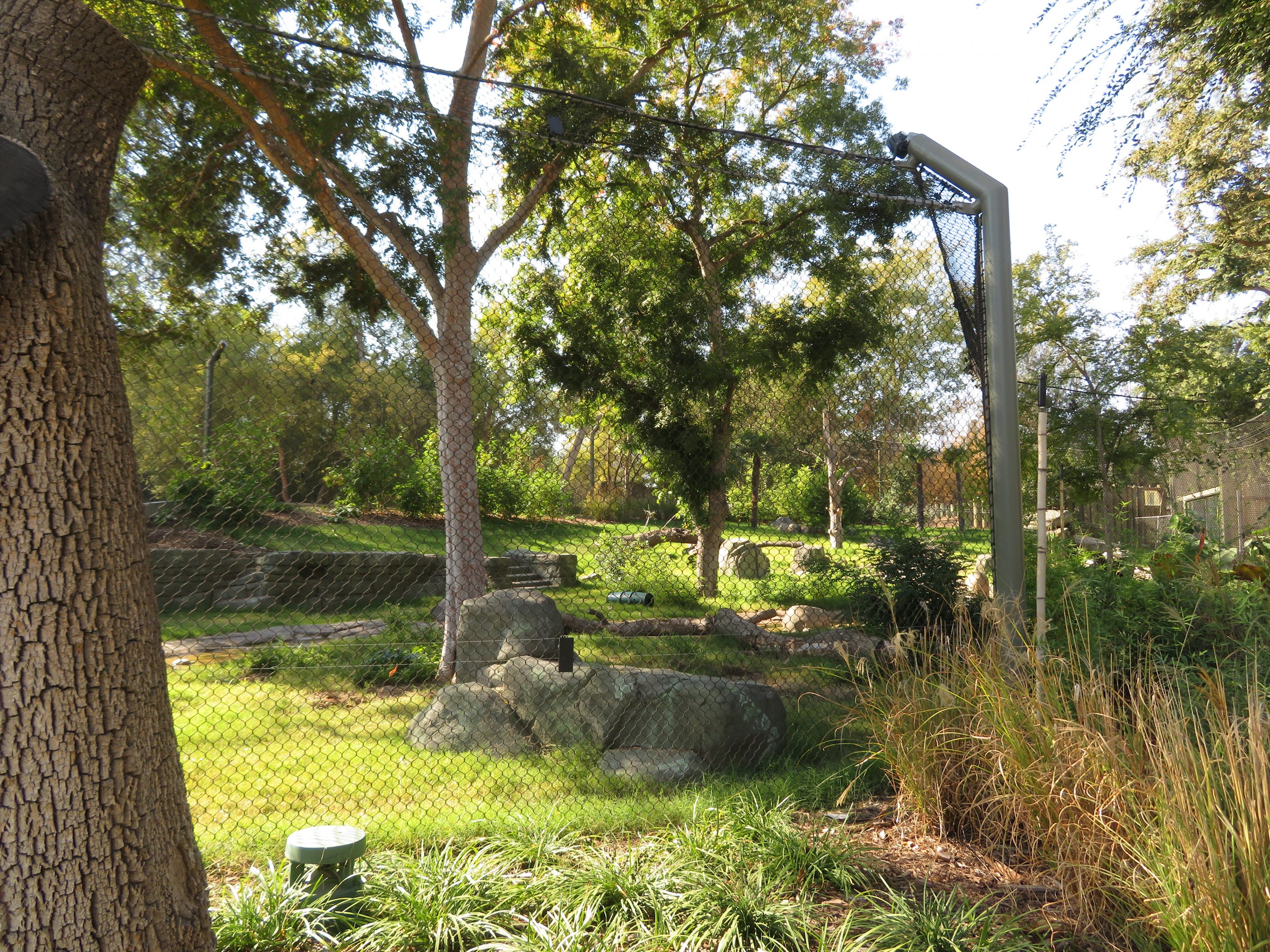 Sloth Bear/Otter Exhibit