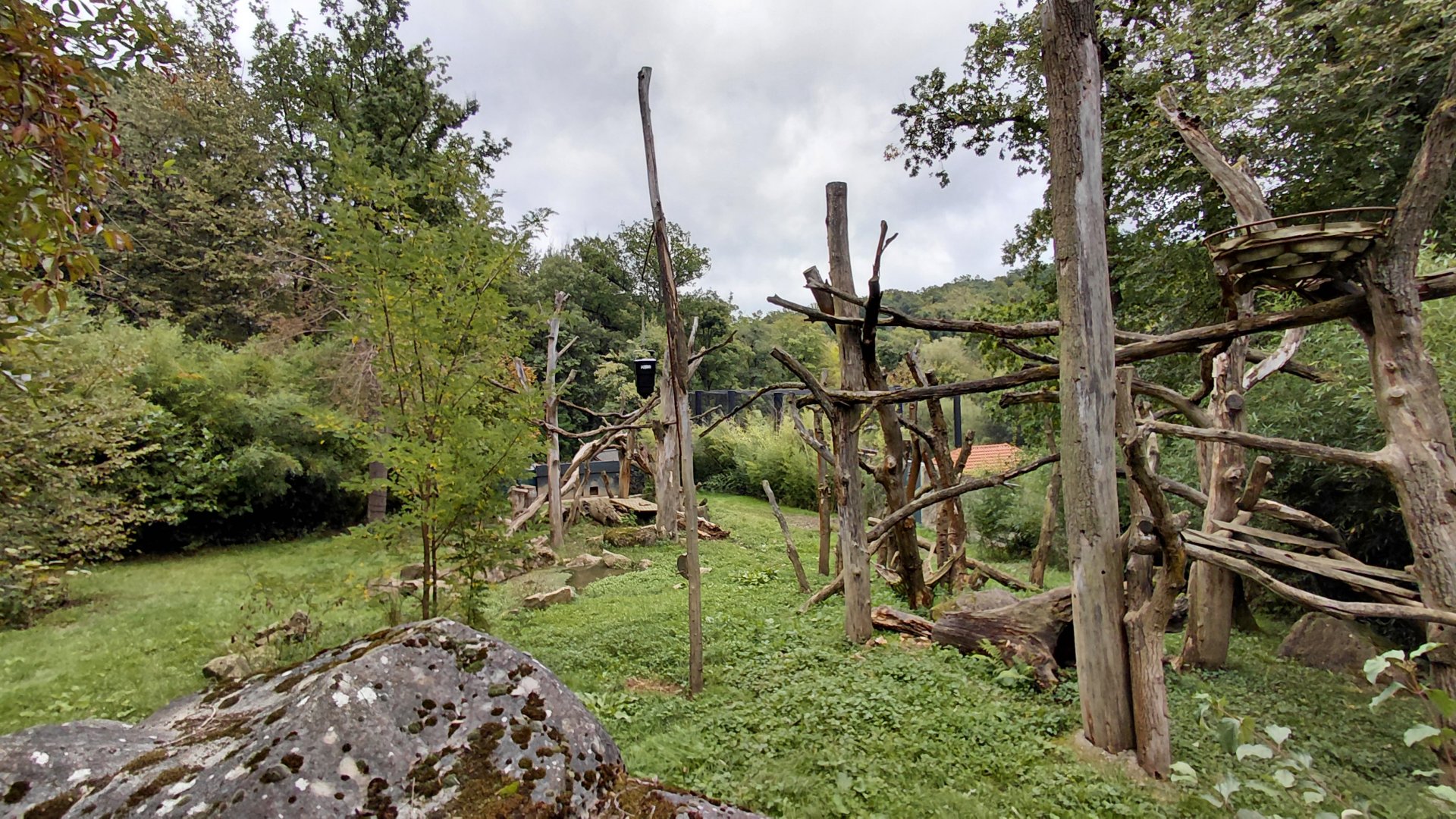 Sloth bear outdoor exhibit