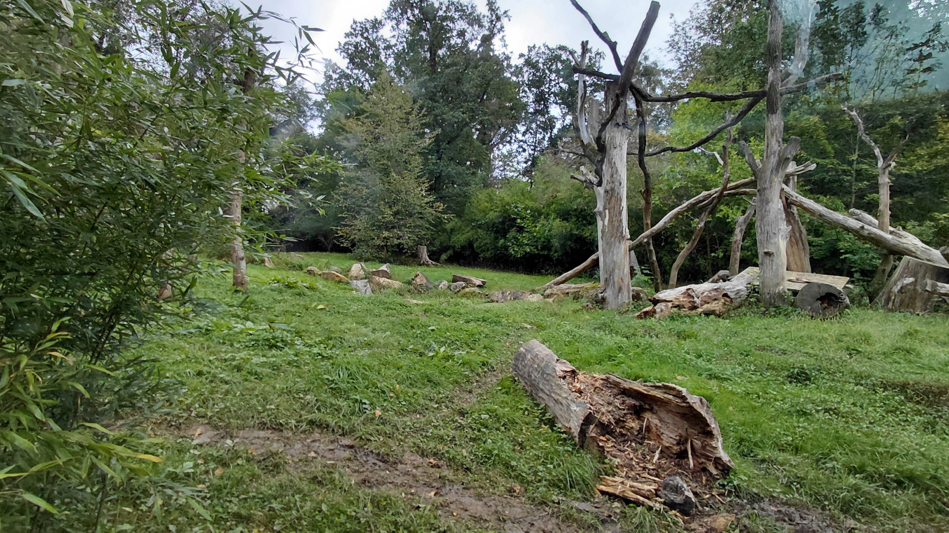 Sloth bear outdoor exhibit