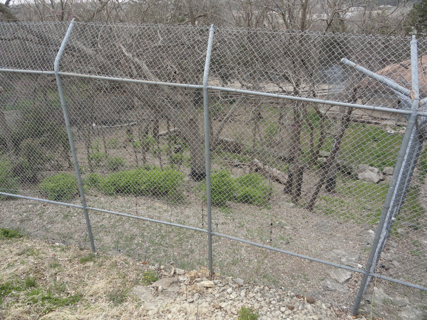 Sloth Bear Reserve Habitat South