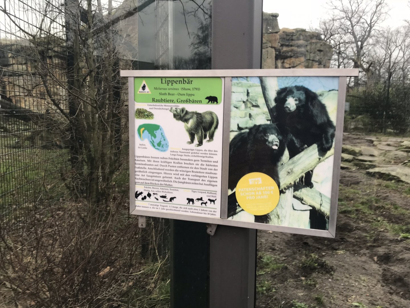 Sloth bear sign 290118