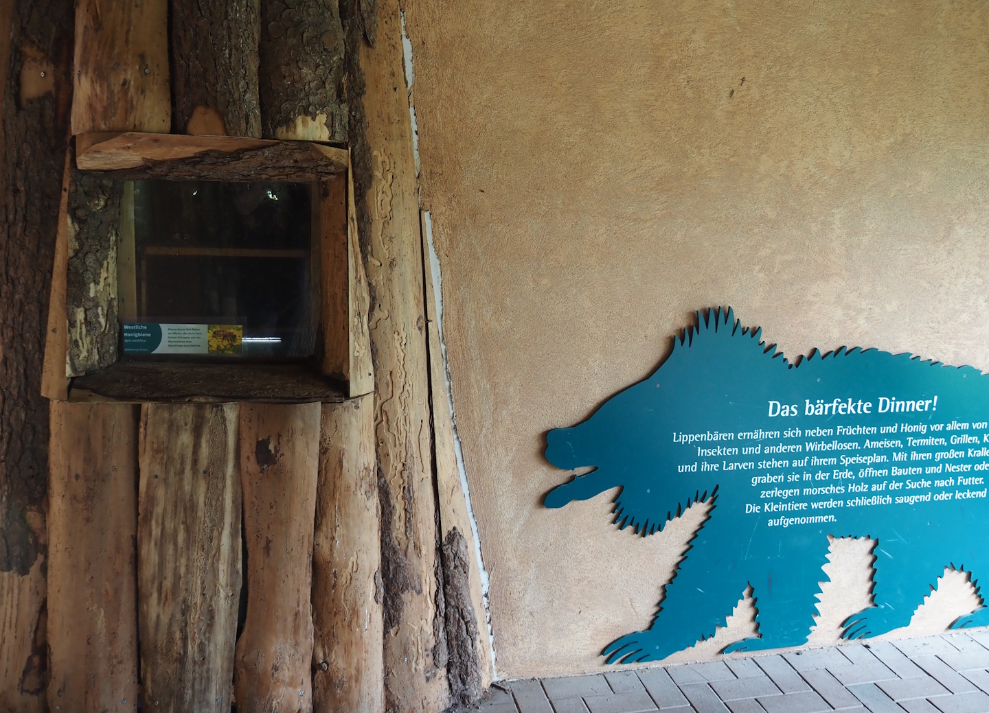 Sloth bear sign and viewing window into honeybee hive, 2025-05-22
