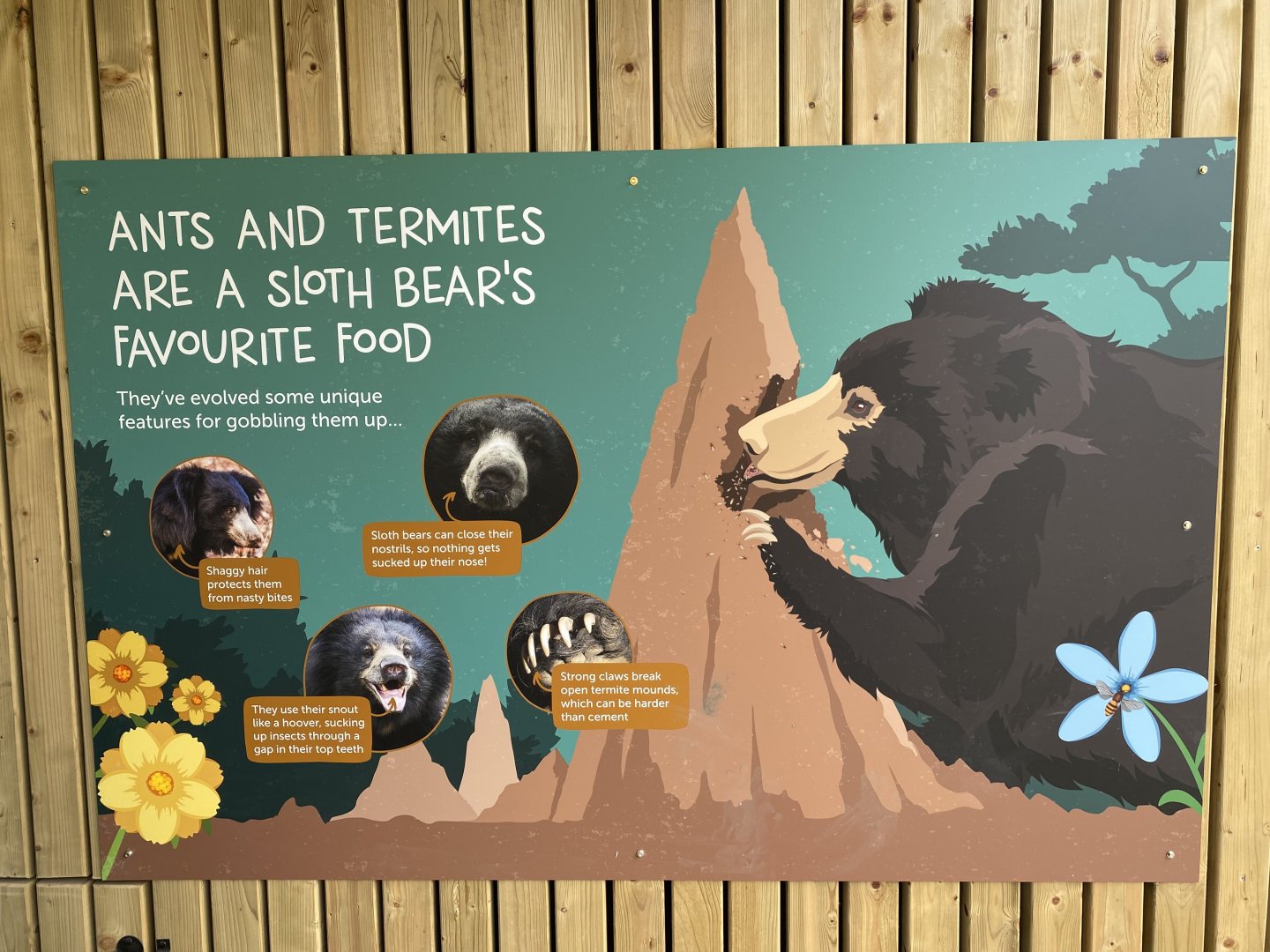 Sloth bear signage 1