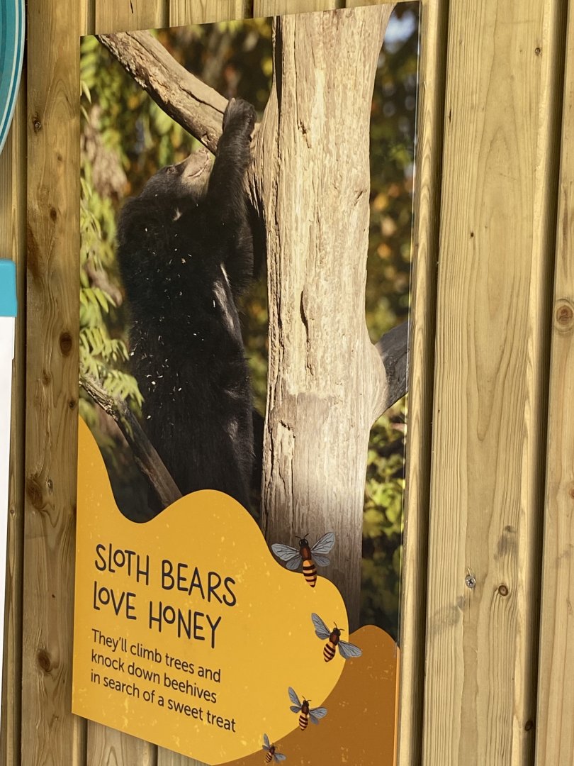 Sloth bear signage 2
