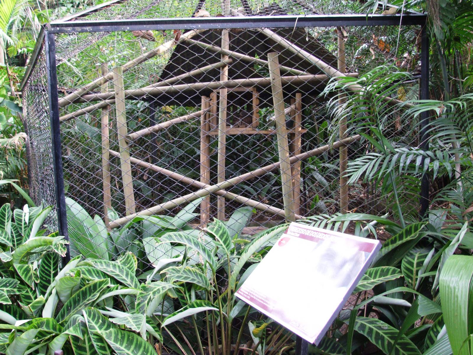 Sloth Enclosure at Zoo Simon Bolivar, 12/04/14