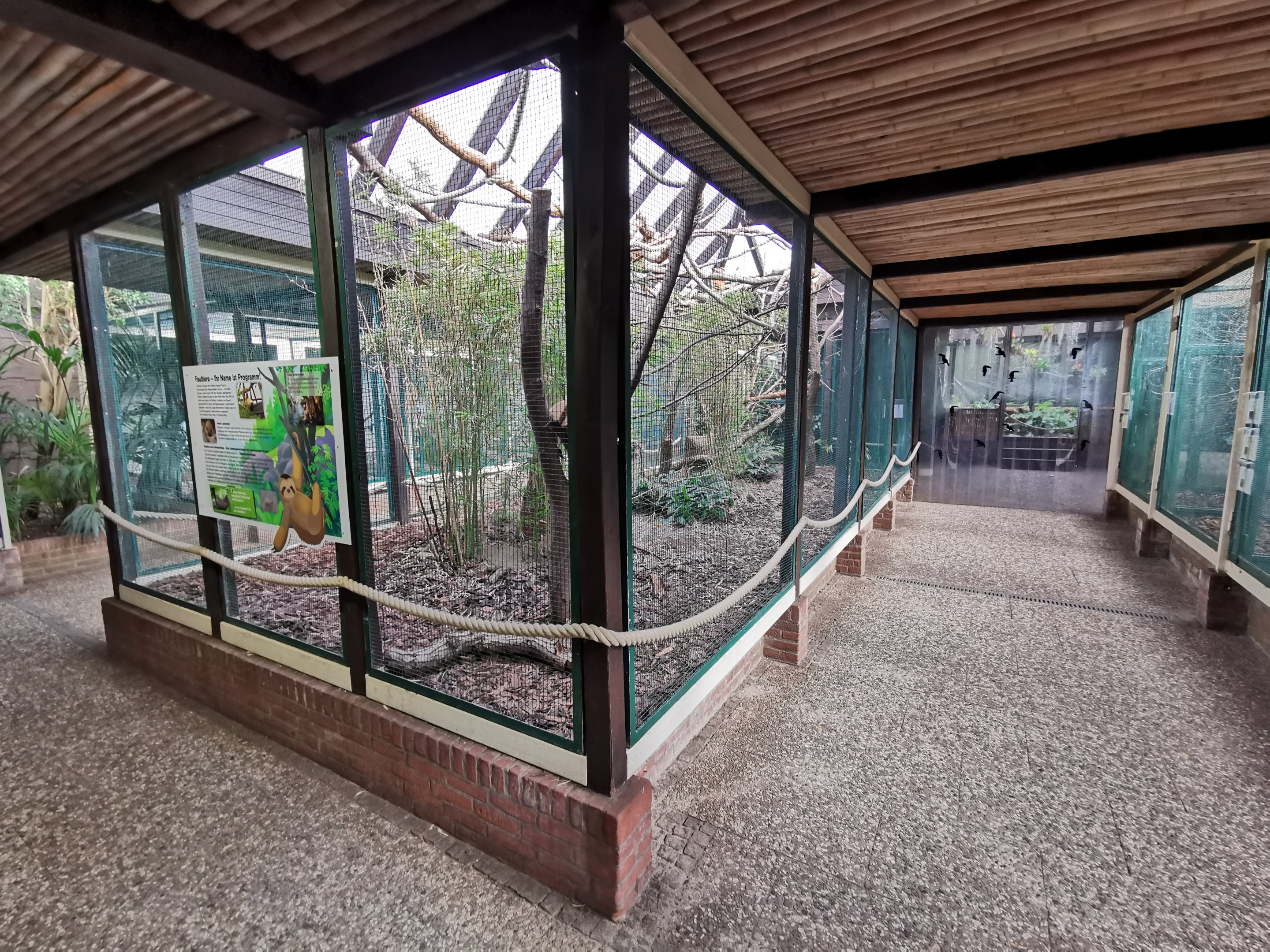 Sloth enclosure in Pukara