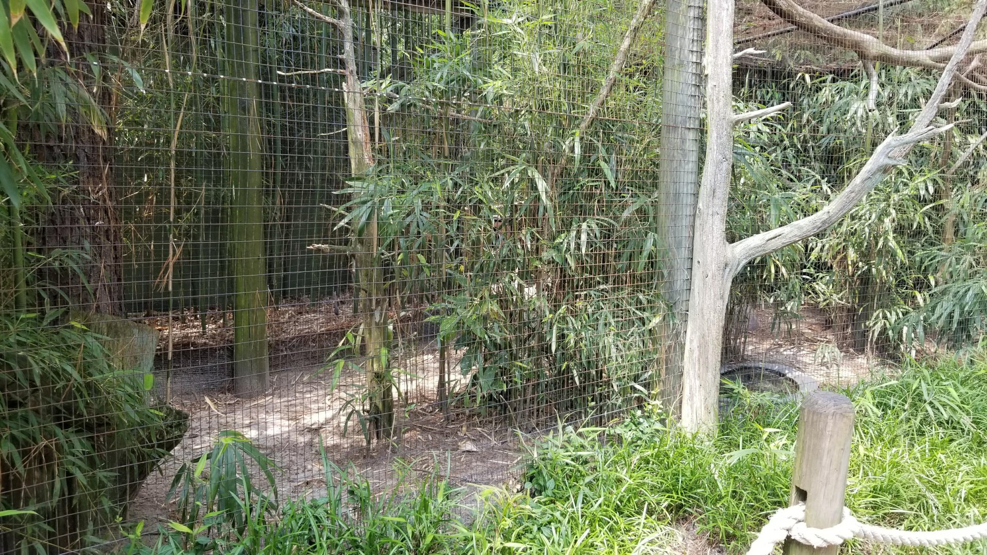 Sloth enclosure