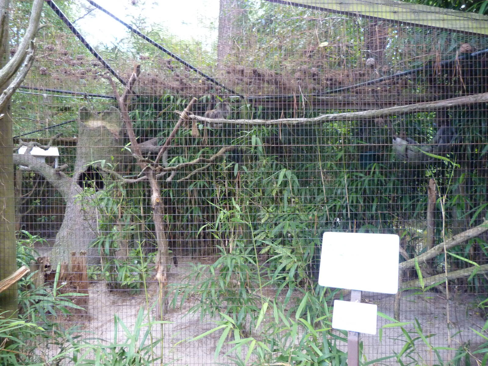 Sloth Exhibit - 9 /7/13