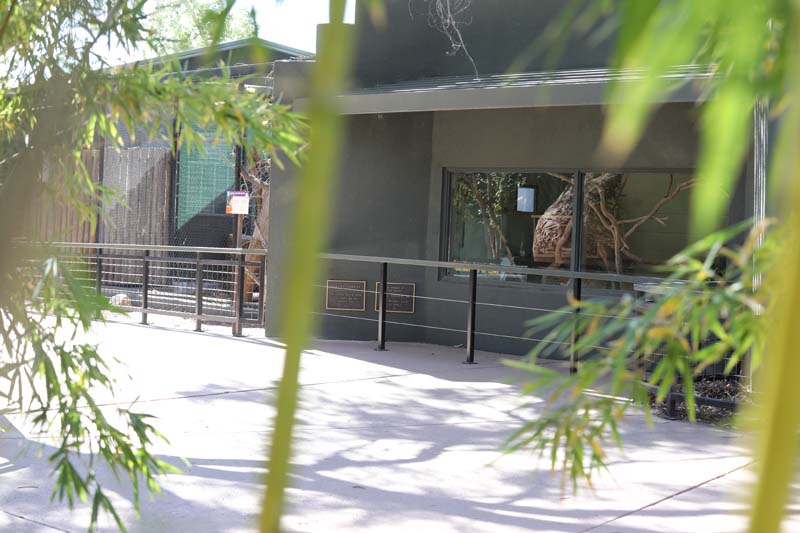 sloth exhibit (former ocelot)