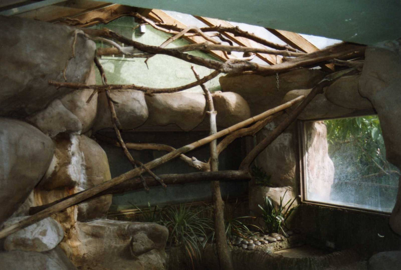 Sloth Exhibit