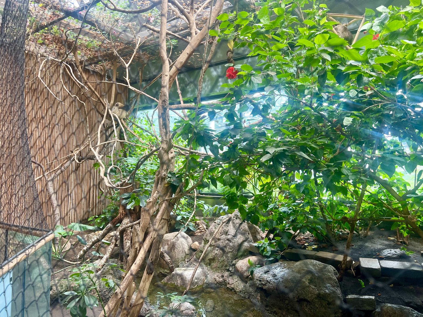 Sloth Exhibit