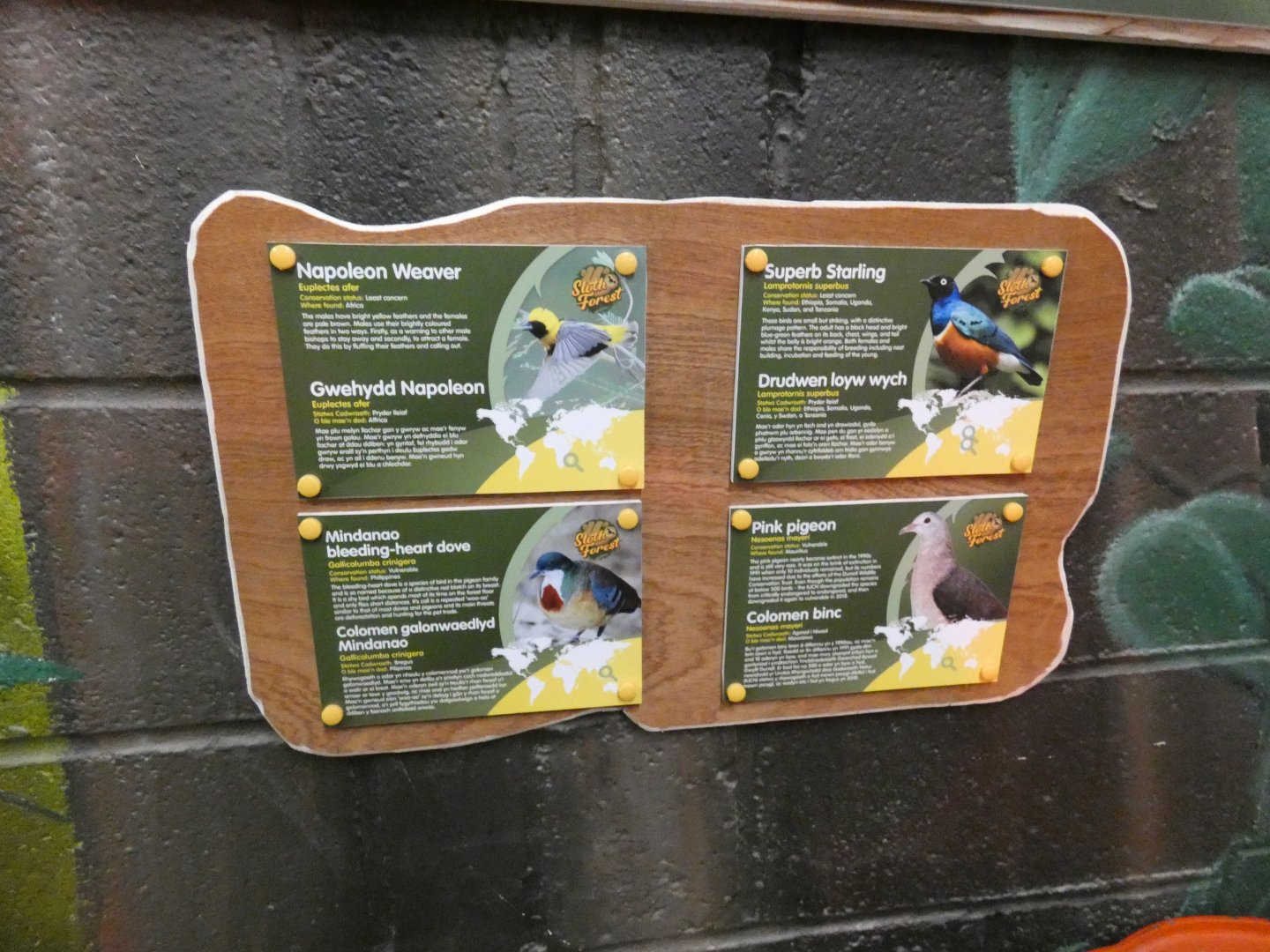 Sloth Forest bird signage