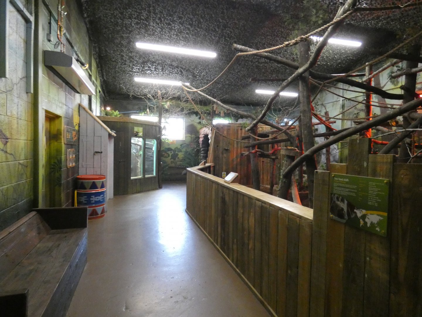 Sloth Forest exhibit