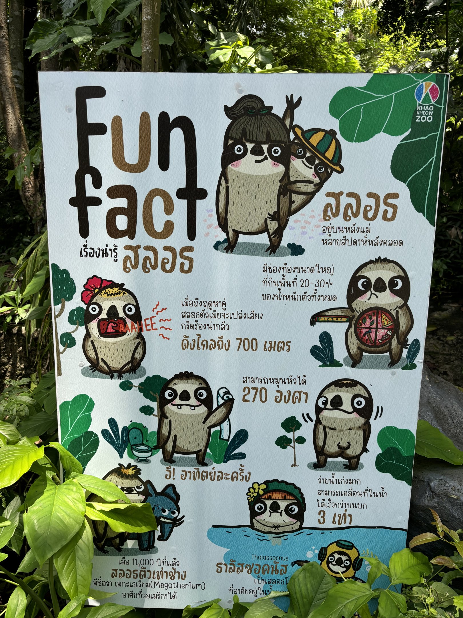 Sloth Fun Facts