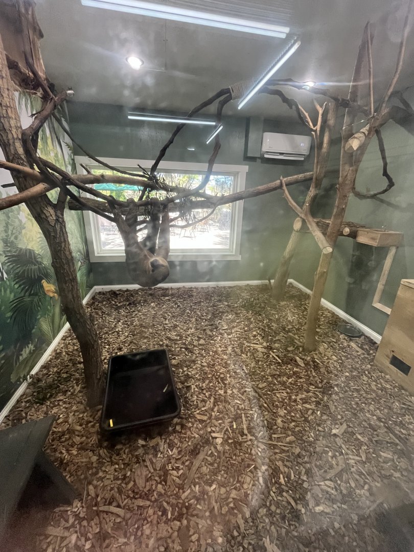 Sloth Habitat