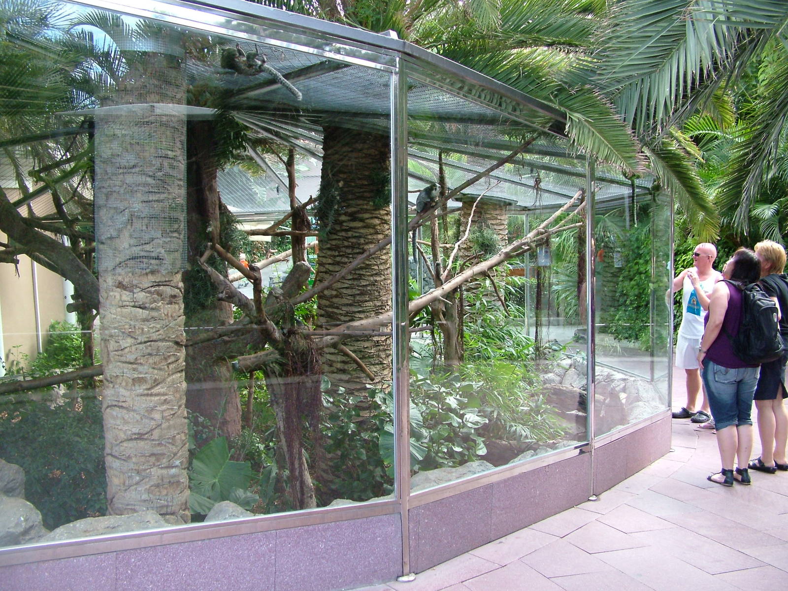 Sloth/Marmoset Exhibit at Loro Parque, 08/11/10