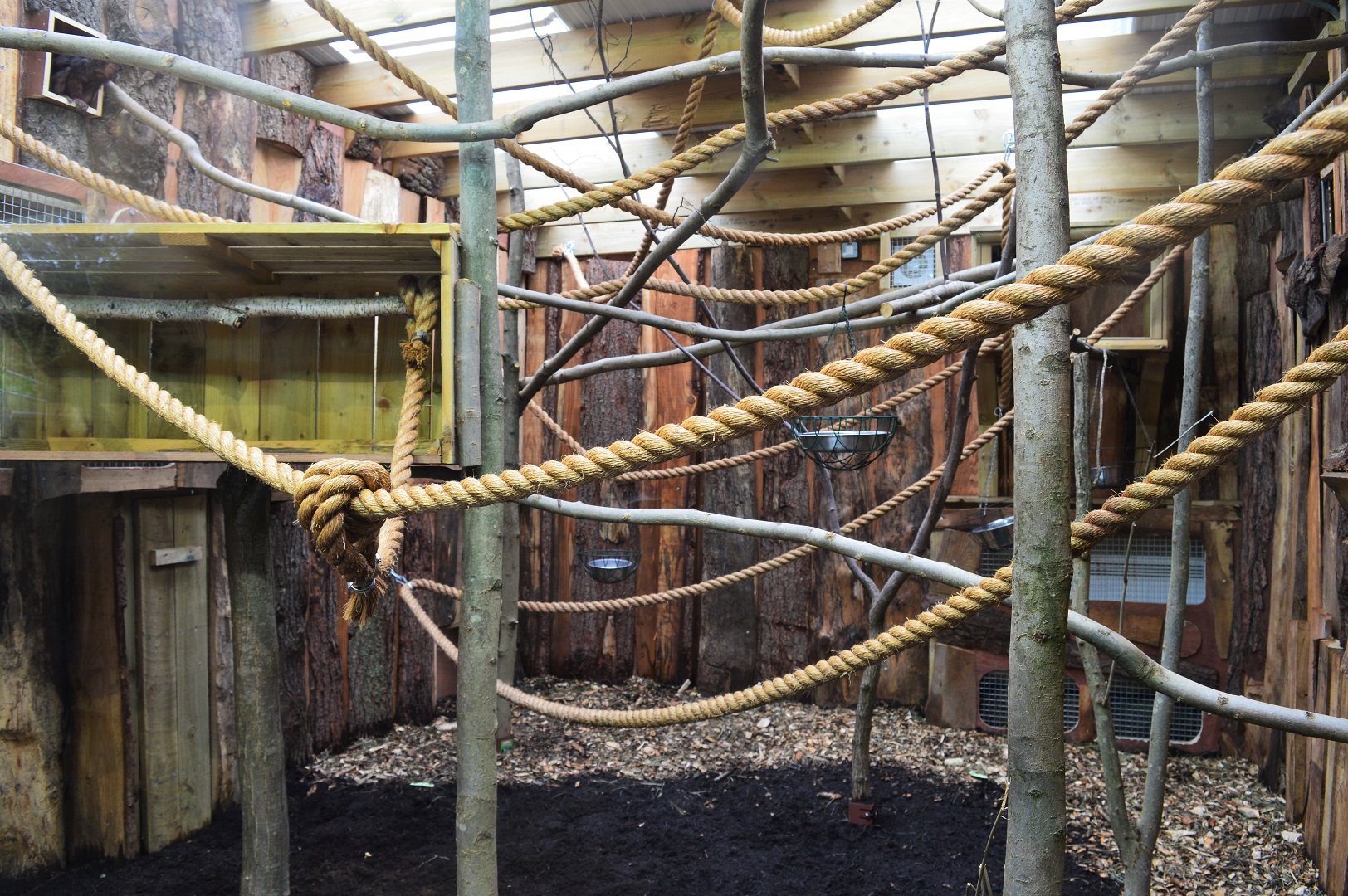 Sloth on-show indoor area